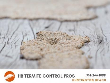 HB Termite Control Pros