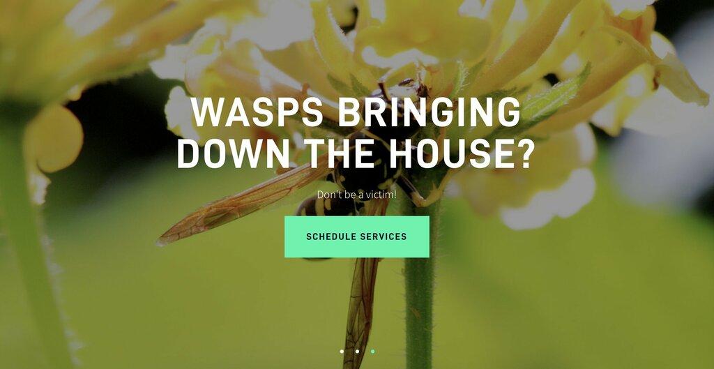 Rocky Mountain Pest and Wildlife