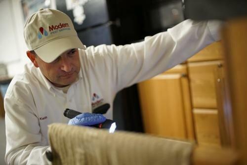 Modern Pest Services
