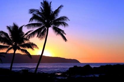 Cruise Planners - Debra Thune