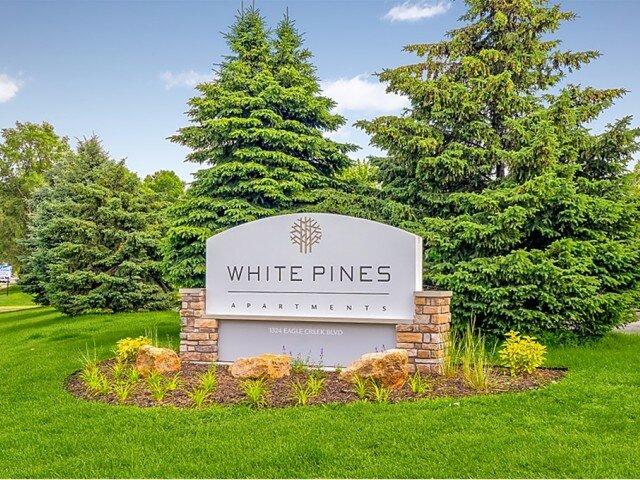 White Pines
