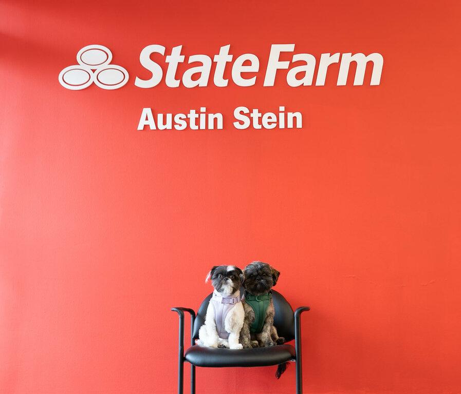 State Farm Ins