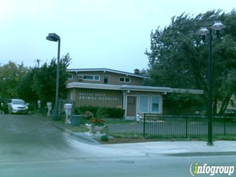 Katie Bertoglio, DVM - Morton Grove Animal Hospital