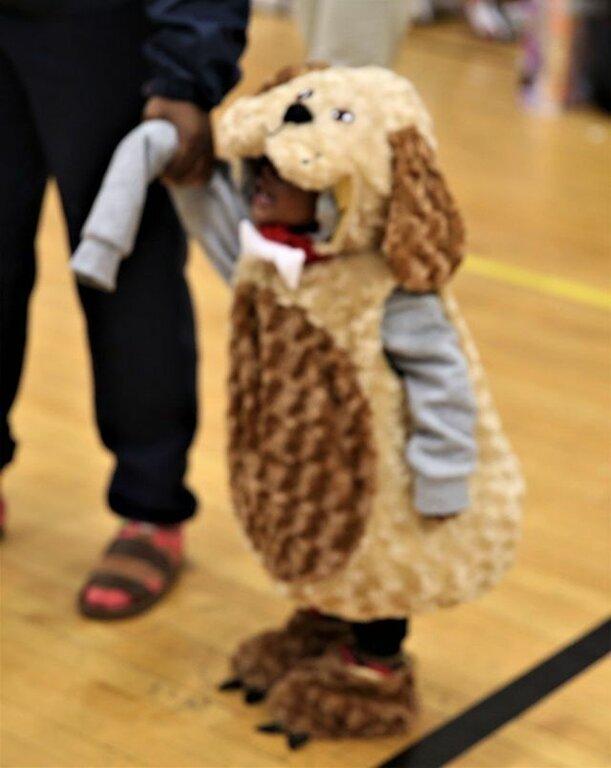 Como Lions Heart Inc