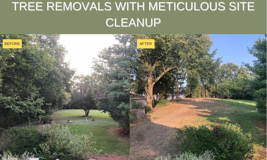 Sinnott Tree Services