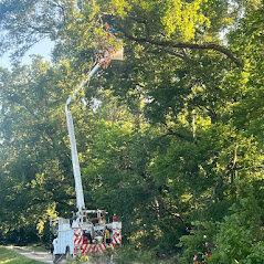 Servants Tree Services