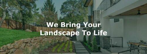 Canepa Landscaping