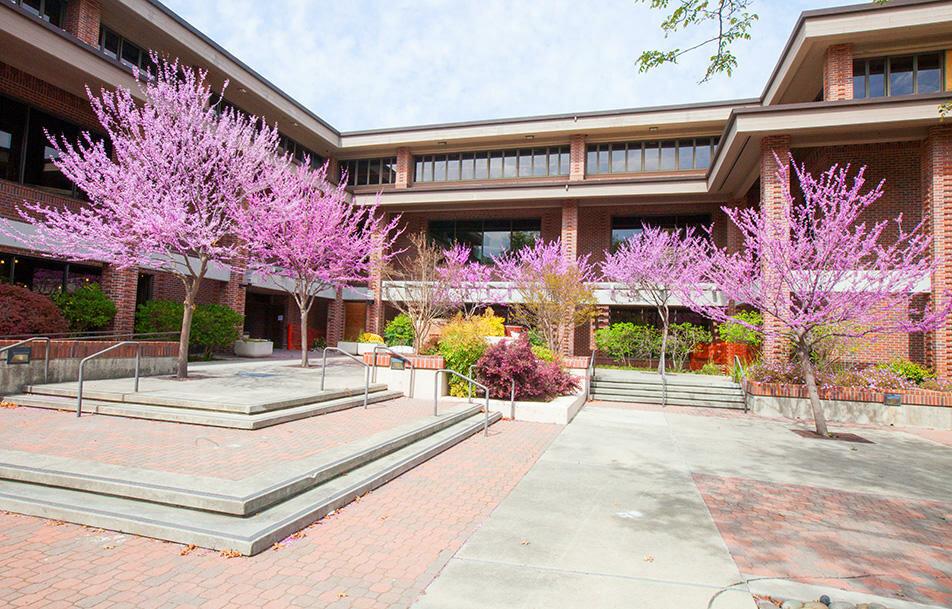 John Muir Health Walnut Creek Urgent Care