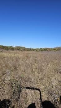 Dewitt and Daniels Law Firm