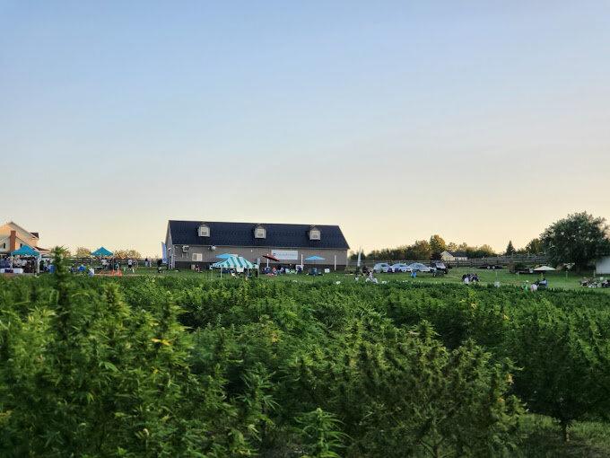 Cannabreeze Hemp Farm & Company