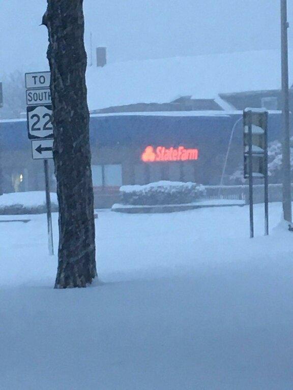 State Farm Insurance