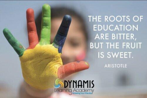 Dynamis Learning Academy