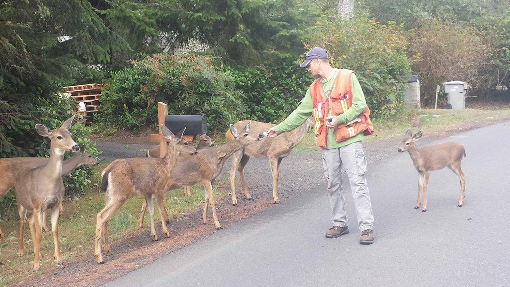 Chehalis Valley Associates, LLC