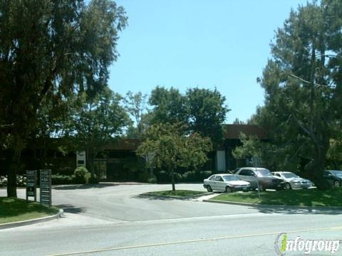 International Photo Plates