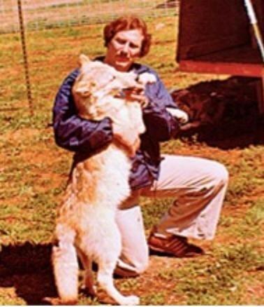 Blue Ribbon K9 of Las Vegas