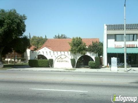 Shavit Fine, DVM - Small Animal Hospital