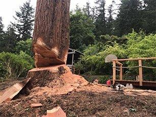 Rose Tree Service & Vegetation Management, LLC