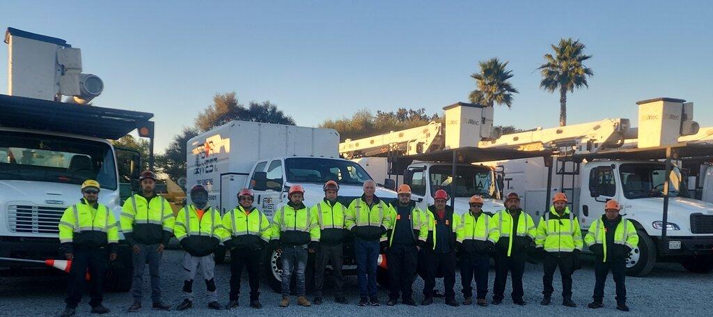 Arbor West Tree Surgeons Inc