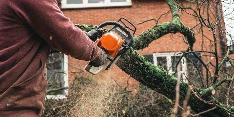 Halbro Tree Service