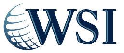 WSI Internet Consulting