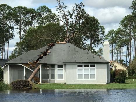 Insurance General Contractors