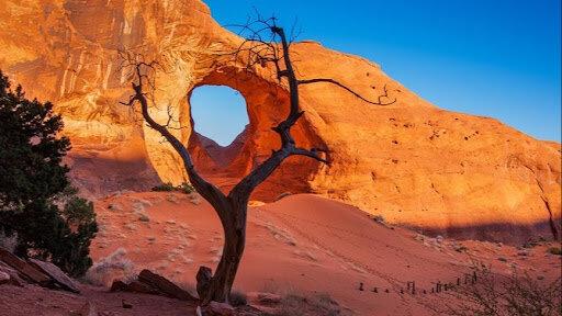 Monument Valley Safari