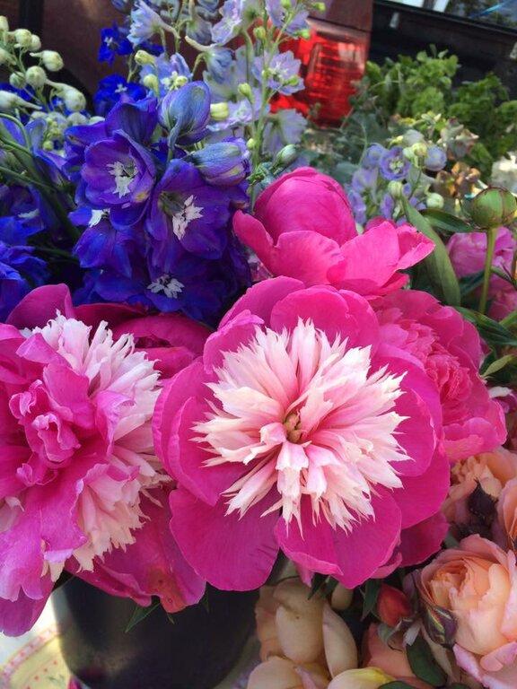 My Garden Over Floweth