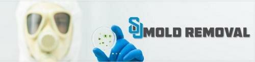 SJ Mold Removal