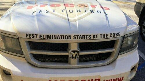 Procore Pest Control