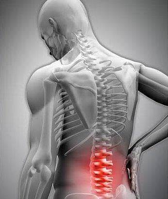 Musculoskeletal Health Centers LLC