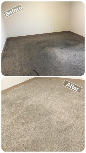 Newline Carpet Care