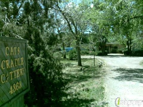 Cats Cradle Cattery