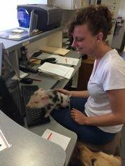 Stillwater Auto Clinic