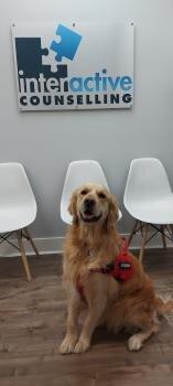 Interactive Counselling