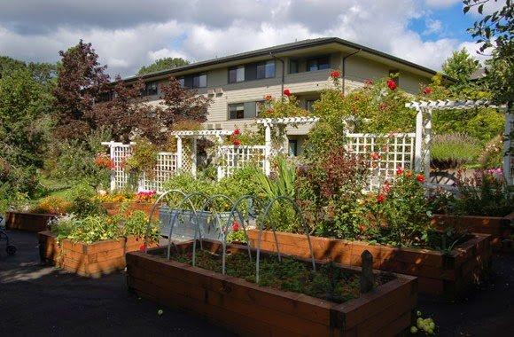 The Springs at Carmen Oaks