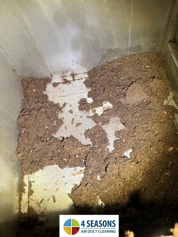 4 Seasons Air Duct Cleaning