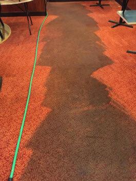 Ace Cleaning Experts