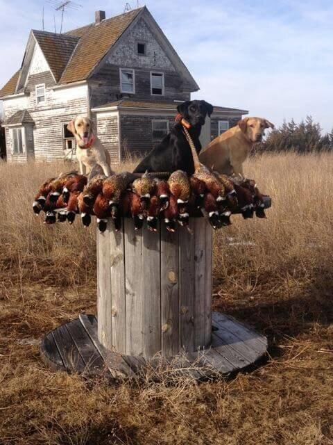 Rock Road Outfitters