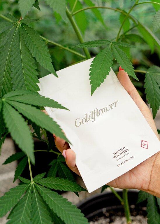 Goldflower Cannabis Dispensary Tampa