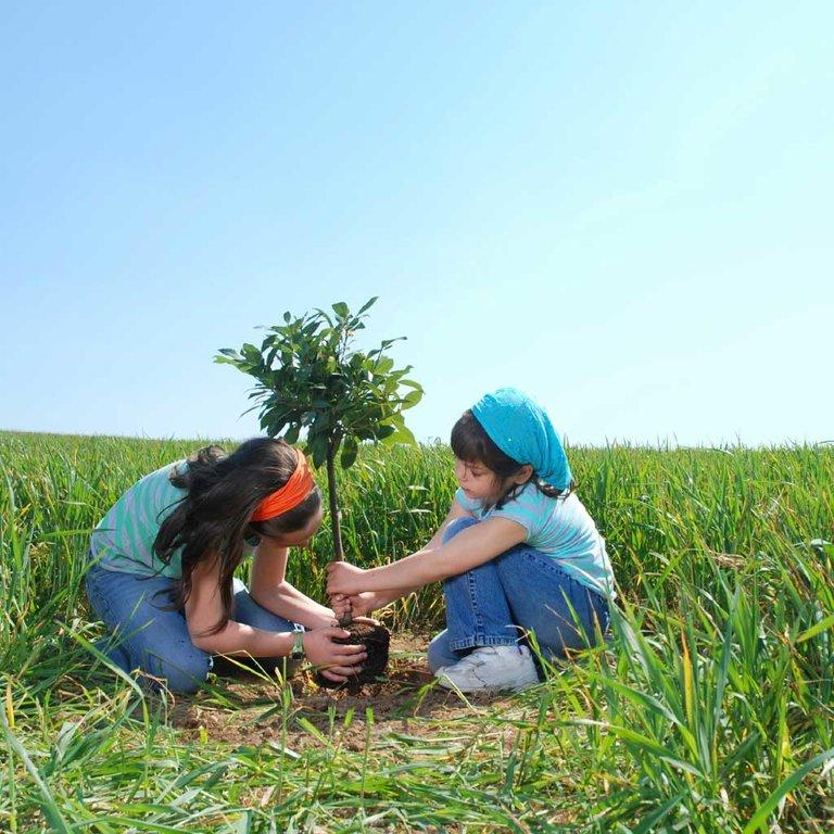 Co-Operators Insurance