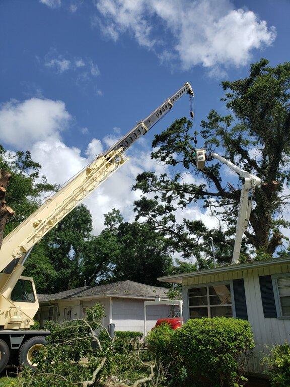 Greenwood Tree LLC