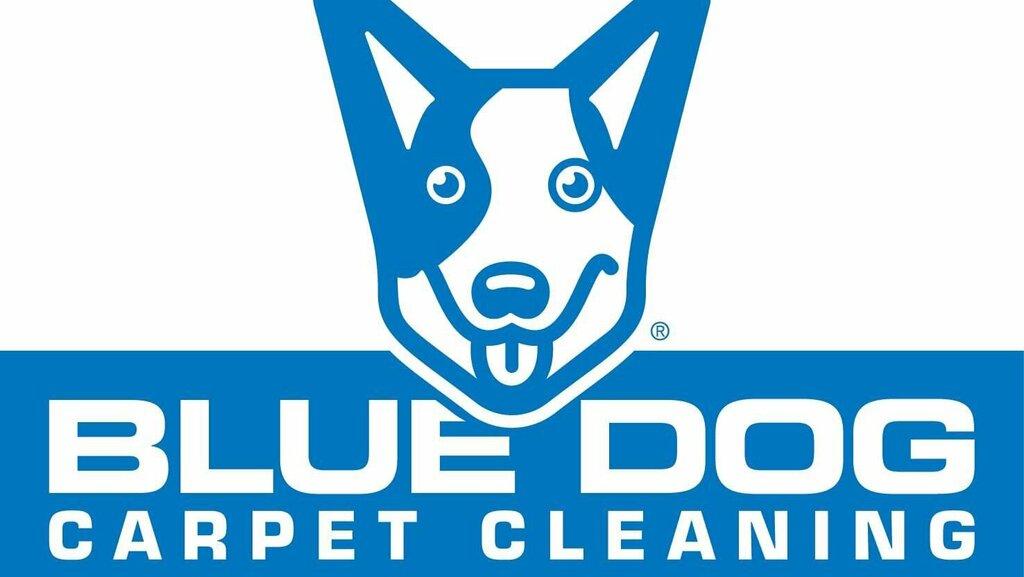 Blue Dog Carpet Cleaning
