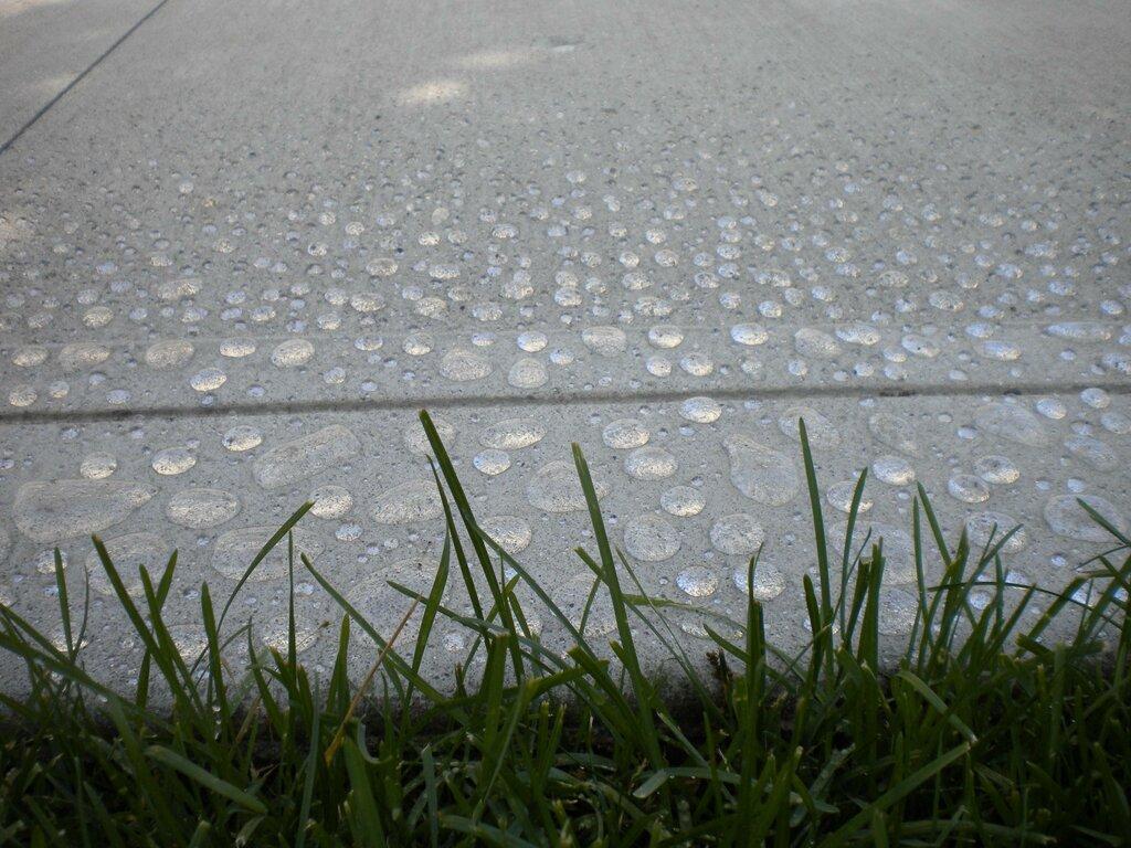 Sam the Concrete Man Washington D.C.