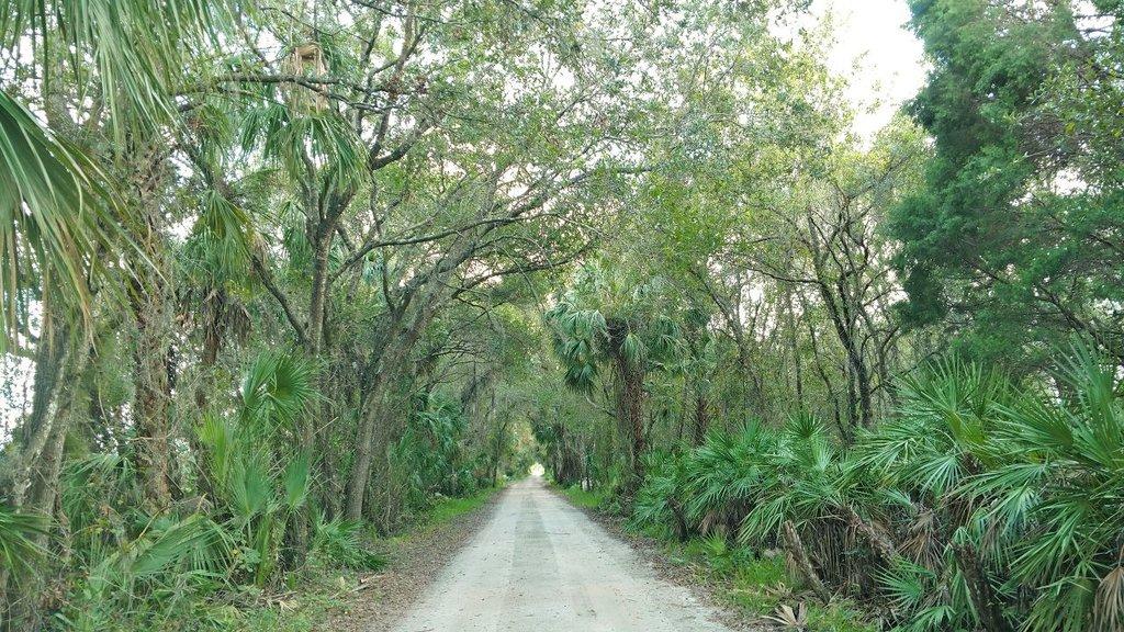 Twin Rivers By Maronda Homes