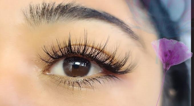 Lash Box -Syosset