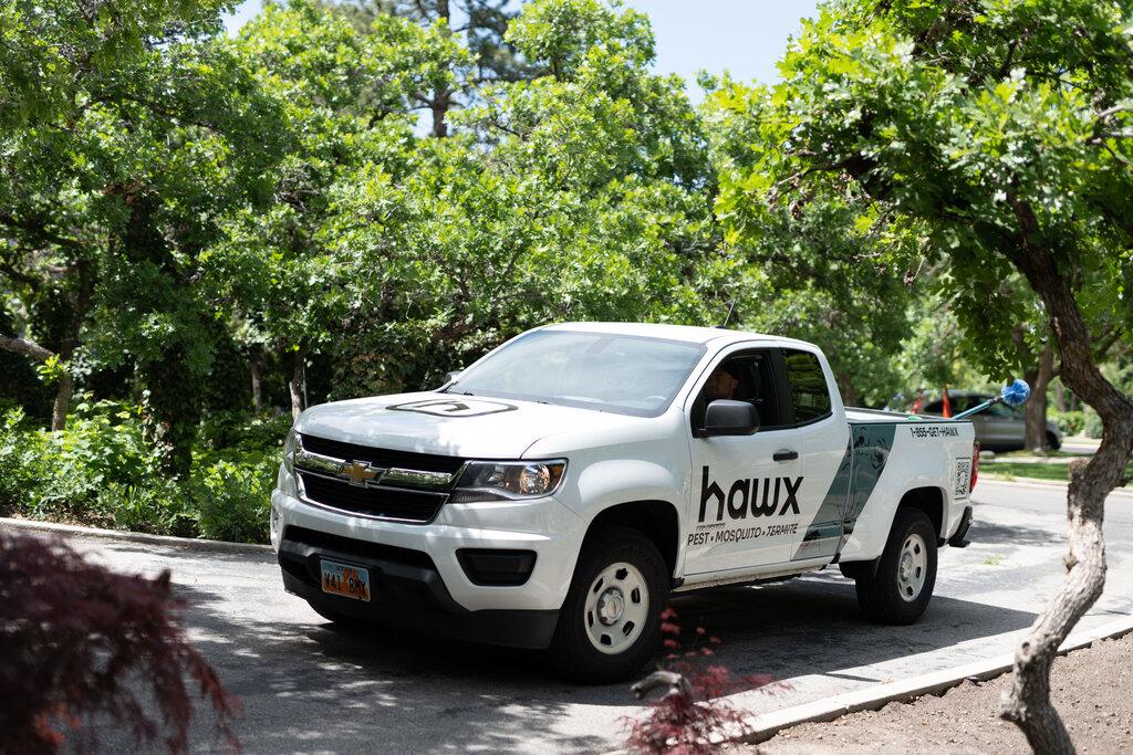 Hawx Pest Control