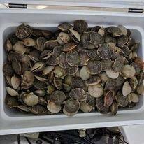 Angler Issues Fishing Charters