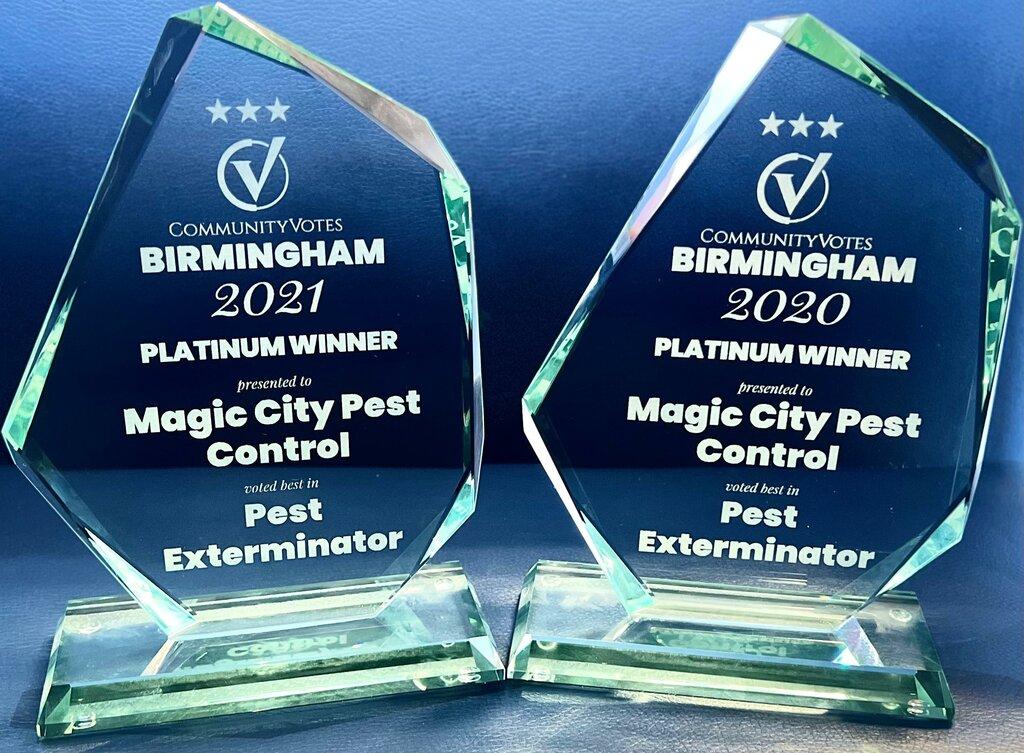 Magic City Pest Control