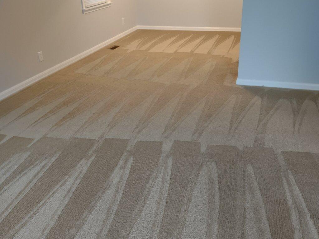 Kleaneasy Carpet & Floor Cleaning