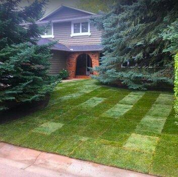 Scott's Sod Sales & Installation Inc